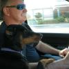 Ridin' dirty with pops.  Note the paw.  When she's riding with you she's always got her head or nose or something touching you.  Doberman Pinscher...the original Velcro Dog.